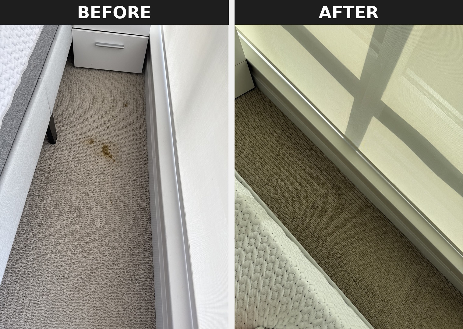 Pet stain removal before and after