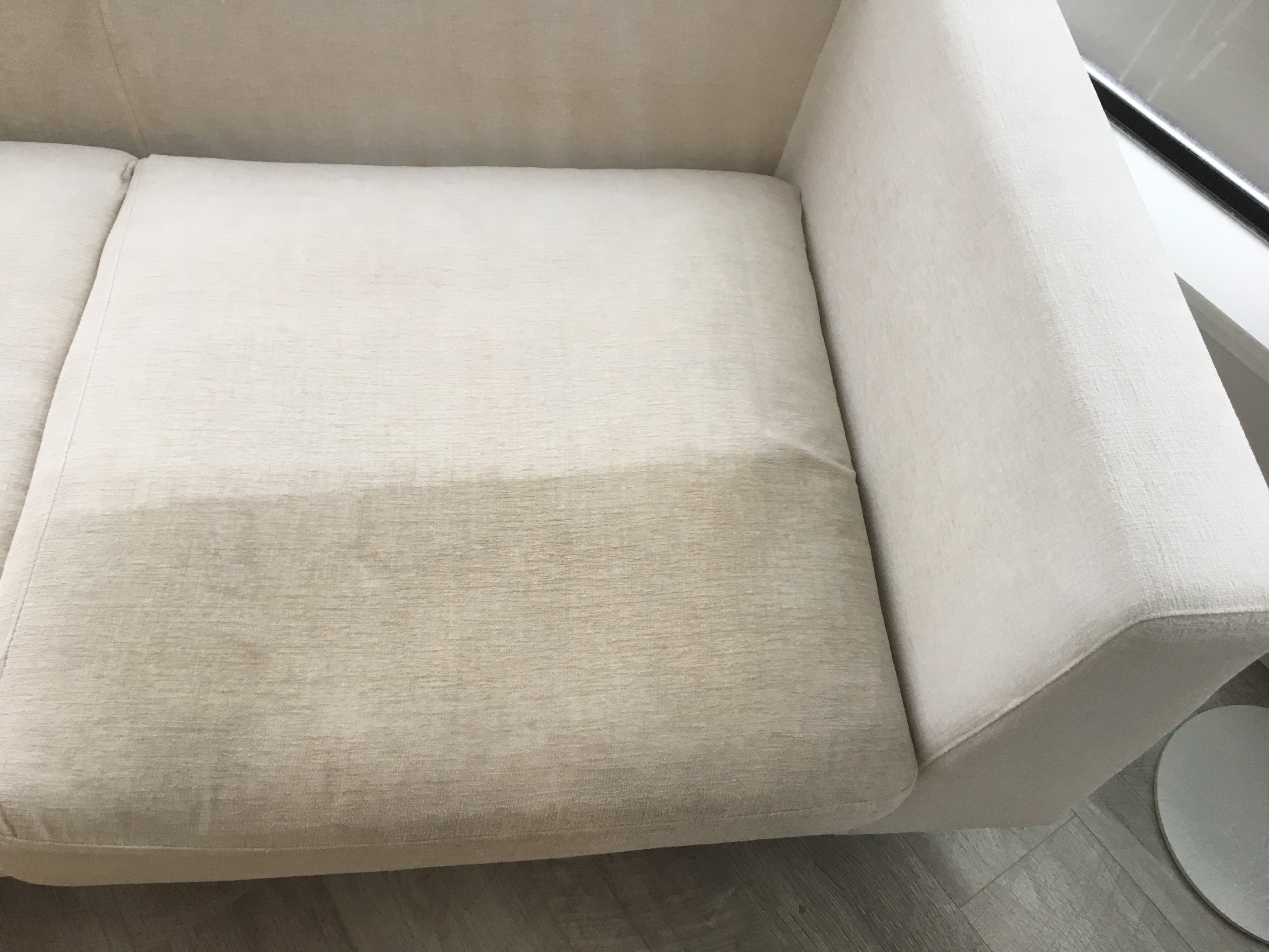 Steam cleaning living room carpet